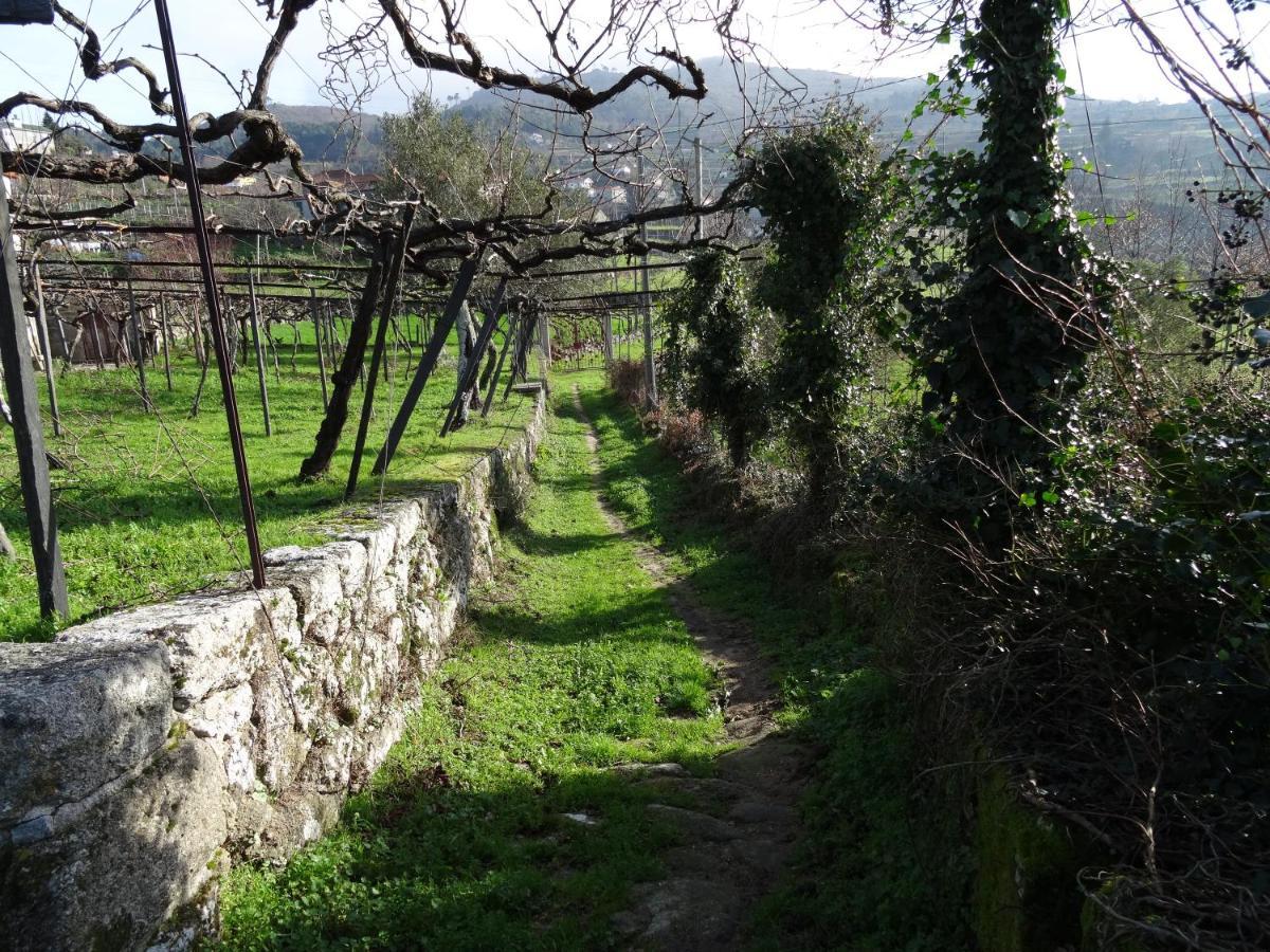 Vila Quinta De S. Cipriano Resende Exteriér fotografie