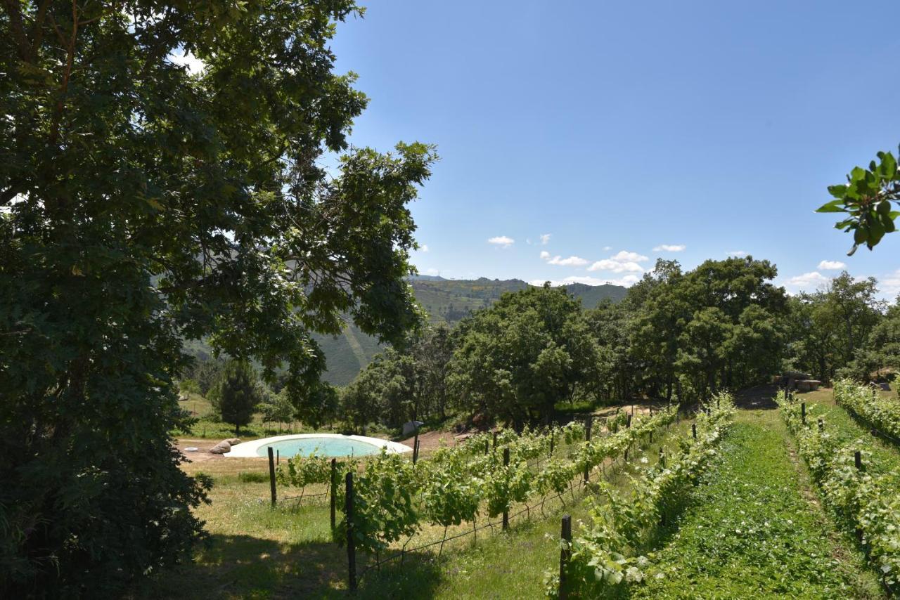 Vila Quinta De S. Cipriano Resende Exteriér fotografie