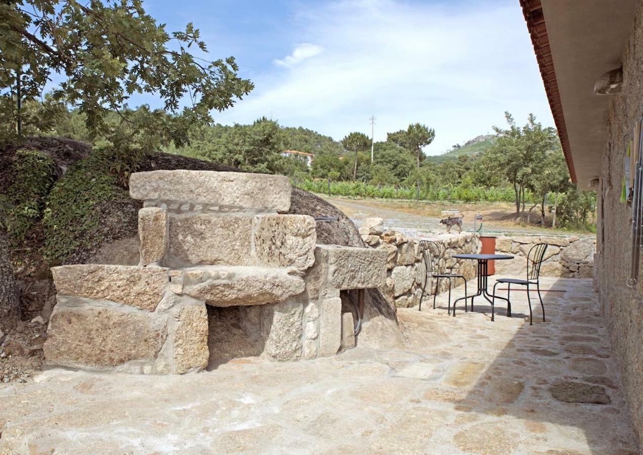 Vila Quinta De S. Cipriano Resende Exteriér fotografie